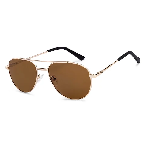 Tortoise Shell Aviators